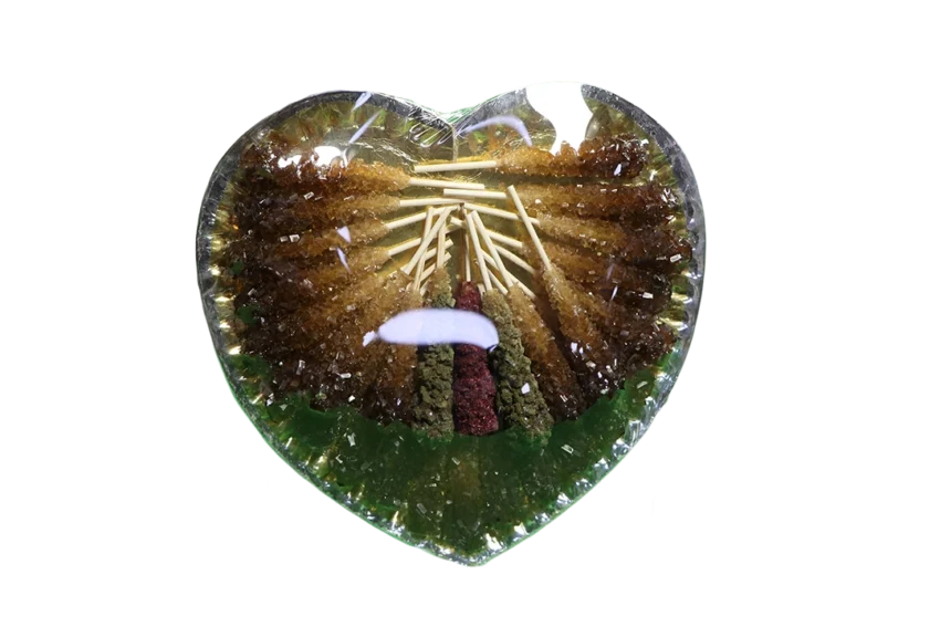 نبات قلبی کادویی - Image 1